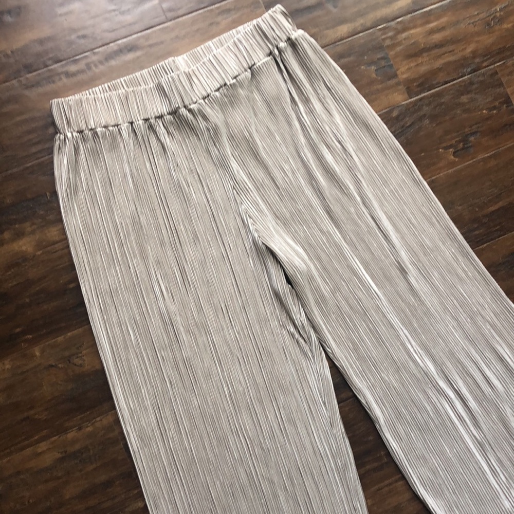 Anthropologie Dolan Pleated Pants in Taupe | Medium | Pleated Pants | Anthro - Picture 2 of 12